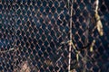 Old grid steel iron metallic rusty fence. Industrial Royalty Free Stock Photo