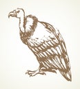 Vulture. Vector drawing icon sign Royalty Free Stock Photo