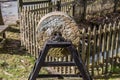 Old grindstone in the garden Royalty Free Stock Photo