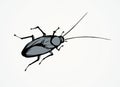 Cockroach. Vector drawing Royalty Free Stock Photo