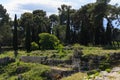 Old grown with grass stairs of Ancient ruins of Anfiteatro Romano Siracusa