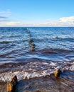 Old groyne and a seagull in the Baltic Sea. Mecklenburg-Vorpommern Royalty Free Stock Photo