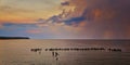 Old groynes in the sunset on the Baltic Sea on the island of Usedom. Mecklenburg-Vorpommern, Germany