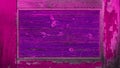 Old grunge abstract pink purple colorful painted wooden frame board wall table texture - Colored rustic weathered aged old wood Royalty Free Stock Photo