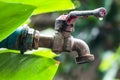 Old and grunge brass faucet and water drop on green bokeh from t Royalty Free Stock Photo