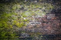 Old grunge brick wall background covered with moss