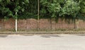 Old grunge brick wall with ivy on top and tall trees on behind. Concrete tiled sidewalk and asphalt road in front. Royalty Free Stock Photo