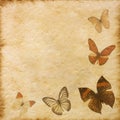 Old grunge butterfly paper texture Royalty Free Stock Photo