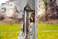 grunge cracked concrete column with exposed rusty steel reinforcing bars. soft blurred background Royalty Free Stock Photo