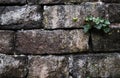 Old grunge natural bricks blocks textured stone background wit