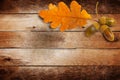 Old grunge paper with autumn oak leaves and acorns Royalty Free Stock Photo