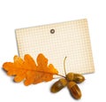 Old grunge paper with autumn oak leaves Royalty Free Stock Photo