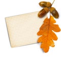 Old grunge paper with autumn oak leaves and acorns Royalty Free Stock Photo