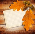 Old grunge paper with autumn oak leaves Royalty Free Stock Photo