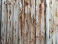 Old grunge rusty metal texture image wall fence background Royalty Free Stock Photo