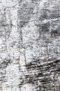 Old grunge texture in black and white for graphic art projects, distessed worn and rustic grungy scratches grain and wrinkled crea