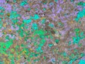 Old grunge vintage background: rusty metal surface with green blue violet paint flaking and cracking texture Royalty Free Stock Photo