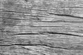 Old grunge wood panels Royalty Free Stock Photo