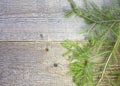 Old grunge wooden board with Christmas tree border. Old rough wooden board with Christmas tree decorated with red and Royalty Free Stock Photo