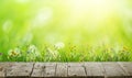 Old grunge wooden floor and spring flowers background Royalty Free Stock Photo