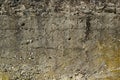 Old grungy beige wall texture