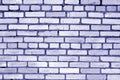 Old grungy brick wall surface in blue tone Royalty Free Stock Photo