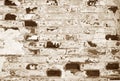 Old grungy brick wall texture with blur effect in brown tone Royalty Free Stock Photo