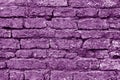 Old grungy brick wall texture in purple tone Royalty Free Stock Photo