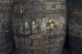 Old Grungy Wine Barrels