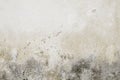 Old weathered wall with chipping paint Royalty Free Stock Photo