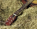 An old guitar laying in a hay bale Royalty Free Stock Photo