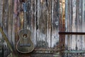 Old guitar on wooden wall Royalty Free Stock Photo