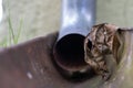 An old gutter in a detached house. Rainwater drainage from the roof Royalty Free Stock Photo