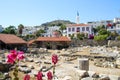 Old Halicarnassus overview with flowers Royalty Free Stock Photo