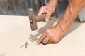 Old hammer and nail in the hands of an elder man. Carpenter hammers a nail into a tree