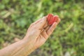 Old hand grandmother hold heart. Concept idea of love family protecting elderly people grandmother friendship togetherness