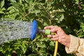 Old hand holds hose nozzle and spraying water. Royalty Free Stock Photo