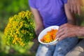 Old hand prefer flowers of calendula. Children's hand holds the