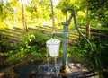Old hand water pump outside in the garden Royalty Free Stock Photo