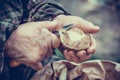 Old hands peeling potatoes. Eldery woman hands. Elderly homework concept