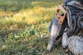 Close up of old handsaw resting on a pile of wooden lumber. Representation of rural lifestyle