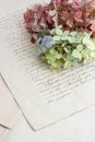 Old handwriting and soft hortensia flowers Royalty Free Stock Photo