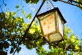 old hanging street lamp under a grape arch on a sunny day