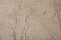 Old hard cracked paper background in dark colors. Royalty Free Stock Photo