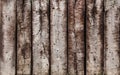 Old hardwood Royalty Free Stock Photo
