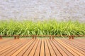 Wooden decking or flooring and plant in garden decorative