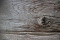 Old hardwood surface,Bark texture for the background or text Royalty Free Stock Photo
