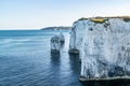 Old Harry Rocks chalk formations, view at Handfast Point, Dorset, southern England. Huge wall of white chalk cliffs with stumps Royalty Free Stock Photo