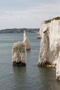 Old Harry Rocks, Chalk stacks, Swanage Dorset England