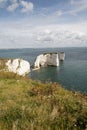 Old Harry Rocks, Chalk stacks, Swanage Dorset England